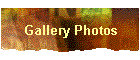 Gallery Photos