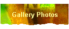 Gallery Photos