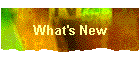 What's New